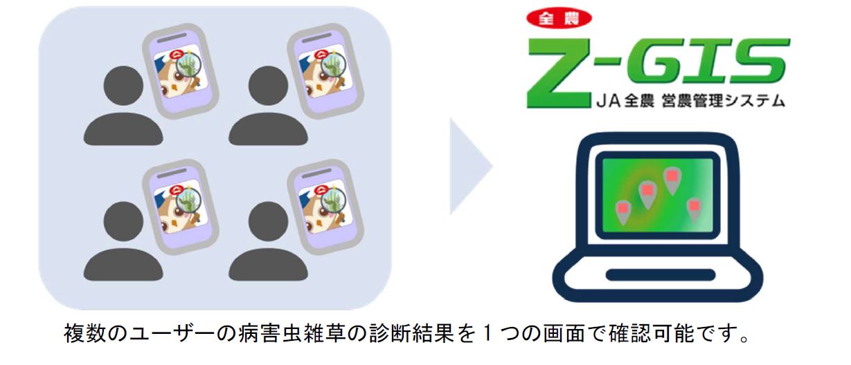 全農「Ｚ–ＧＩＳ」 日本農薬ＡＩ病害虫診断と連携